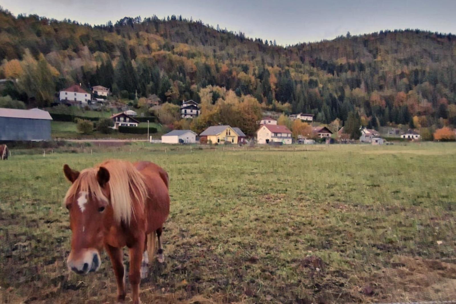 Le Vivaldi, Au Coeur Du Massif Vosgien Avec Terrain De Petanque Villa Rochesson Buitenkant foto