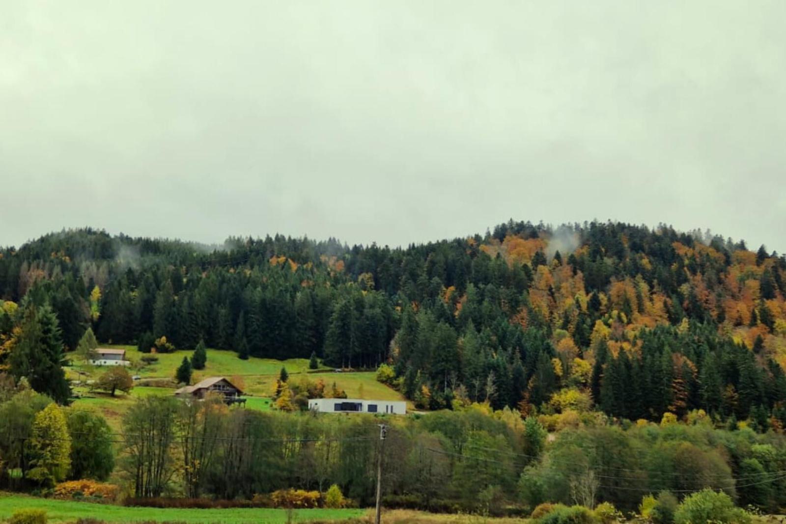 Le Vivaldi, Au Coeur Du Massif Vosgien Avec Terrain De Petanque Villa Rochesson Buitenkant foto